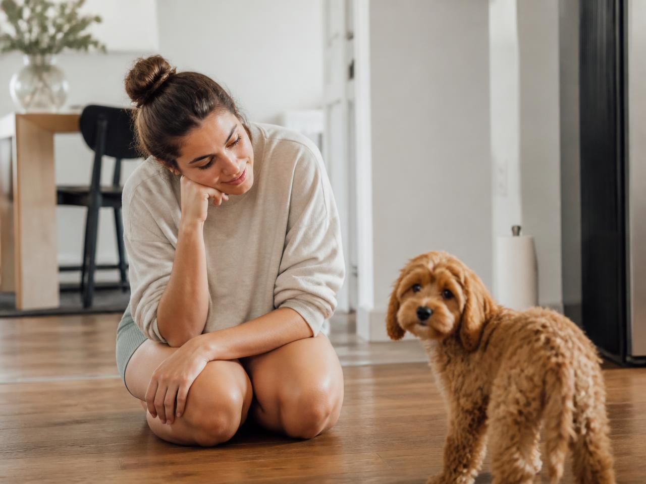 Puppy owner sitting on the floor at home beside her cavapoo puppy